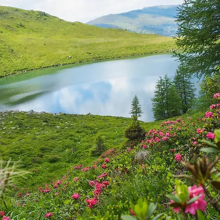 Almhuette Auf Der Laussnitz Alm - Auszeit In Schoener Bergidylle Auf 1836m ホームステイ *
