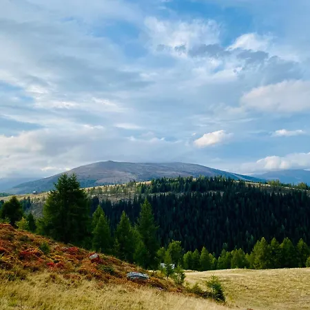 ホームステイ Almhuette Auf Der Laussnitz Alm - Auszeit In Schoener Bergidylle Auf 1836m レンヴェーク