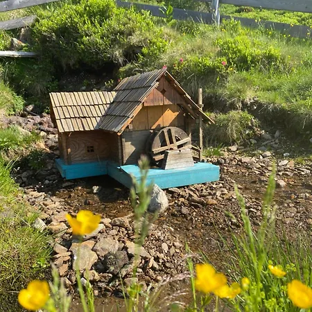 Homestay Almhuette Auf Der Laussnitz Alm - Auszeit In Schoener Bergidylle Auf 1836m *