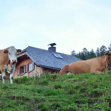 Homestay Almhuette Auf Der Laussnitz Alm - Auszeit In Schoener Bergidylle Auf 1836m