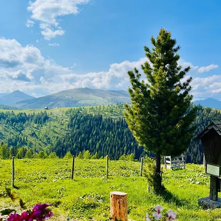 Almhuette Auf Der Laussnitz Alm - Auszeit In Schoener Bergidylle Auf 1836m Проживание в семье Реннвег-ам-Качберг