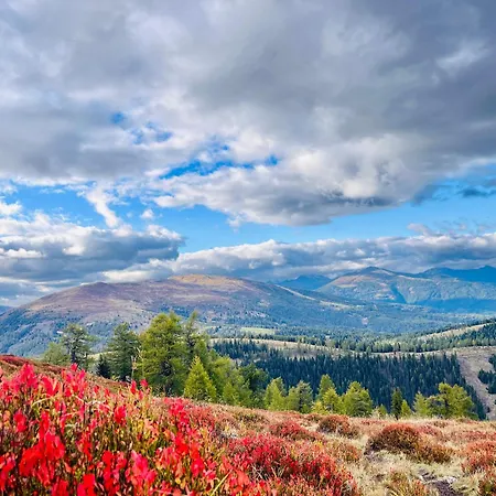 Almhuette Auf Der Laussnitz Alm - Auszeit In Schoener Bergidylle Auf 1836m レンヴェーク