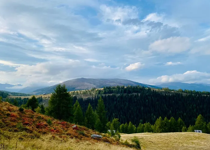 Проживание в семье Almhuette Auf Der Laussnitz Alm - Auszeit In Schoener Bergidylle Auf 1836m Реннвег-ам-Качберг