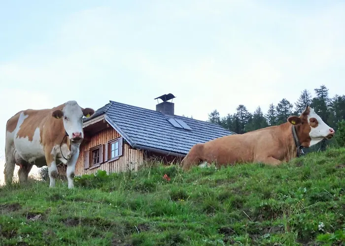 Проживание в семье Almhuette Auf Der Laussnitz Alm - Auszeit In Schoener Bergidylle Auf 1836m