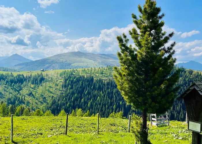 Almhuette Auf Der Laussnitz Alm - Auszeit In Schoener Bergidylle Auf 1836m Проживание в семье Реннвег-ам-Качберг